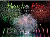 Beach fire