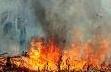 Foreste russe bruciano secondo anno successivo