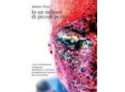 Milione Piccoli Pezzi James Frey