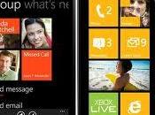 Aggiornamenti Windows Phone Tango Apollo