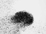 Parole Criminali: “MANICOMI” Gianluca Arrighi estratto “Crimina Romana”