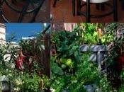 orto urbano _sgabelli ri-uso