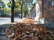 Passeggiare Roma, Portuense