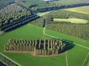 Green Cathedral_ land