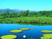 Vivere Brasile vostre storie