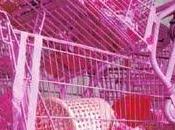 Omo/transnazionalismo, pinkwashing, glbt destra, xenofobia incontro Circolo Maurice