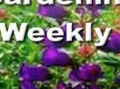 Smartphone Apps Garden_Android