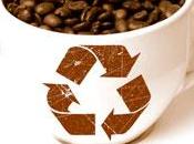 Idee Ecosostenibili Riutilizzare Fondi Caffè
