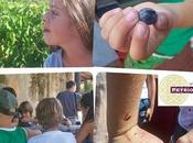 Amico è...la baby-vendemmia 2011 Villa Petriolo!