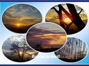 intriga loro meraviglioso colore ineguagliabile sapore