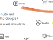 Iniziano calare accessi Google+