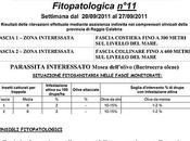 APOR Informa: Bollettino settimanale informazione fitopatologica 11).