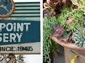 Dana Point Nursery