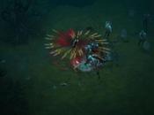 Diablo III, Beta chiusa stata ampliata