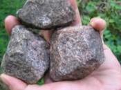 Lampedusa: rivolta continua. Migranti presi sassate isolani