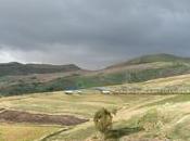 barriere coralline cuore della Sicilia.