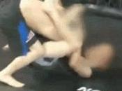 Inghilterra: scandalo combattimenti gabbia bambini