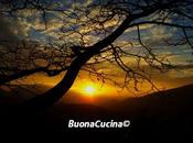 Molto semplici saporiti…