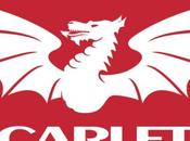 Scarlets contano battaglie: domani saranno 5mila