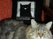 Borsa gatto