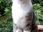 "L'AIRONE", Rei, Anna rita Vigilanza