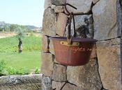 solo mare ricette