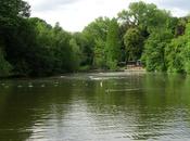 Hampstead Ponds