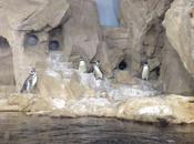 L'universo funziona meglio frullatore