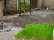 mobili giardino erba