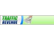 ottimo servizio impression: Trafficrevenue