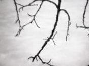 NERA VENDETTA Guido Tosatto