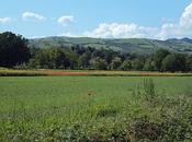 colline..