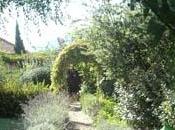 Giardino Poeti giardino letterario Delfino