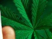 Marijuana alle isole Fiji