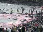 massacro alle Isole