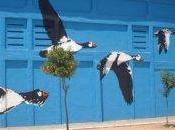uccelli Doñana sono museo cielo aperto