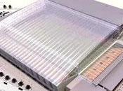 vede alla Glasshouse