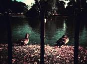 Analogic Everyday...for month! (daily project) OCTOBER