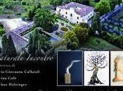 Artisti villa Cigliano