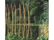 metafora riflettere.