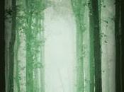 EVERLOST Shusterman