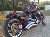 Sale Harley Davidson Softail Rocker