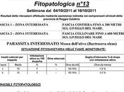 APOR Informa: Bollettino settimanale informazione fitopatologica 13).