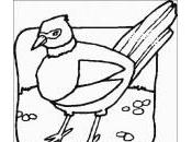 regola ciarlatani ladri