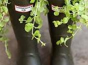 Vecchi stivali neri gomma... fare?