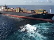 portacontainer "Rena" arenata...