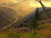 Green Economy, svolta necessaria sviluppo economico