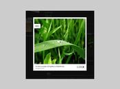 Lightbox Jquery