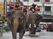 Thailandia: peggiore inondazione degli ultimi anni