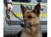 Palermo: boss Brancaccio sequestrati oltre 4milioni euro